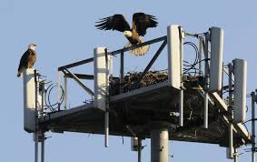 cell phone toweres (2)