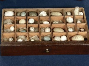 philadelphia_200605A15_02