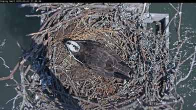 192.168.1.91_01_20150502112530990