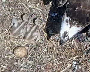 192.168.1.91_01_20150611140424544