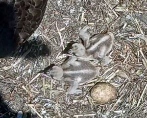 192.168.1.91_01_20150611140453328