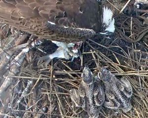 192.168.1.91_01_20150617222917209