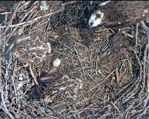 192.168.1.91_01_20150701221031881-001