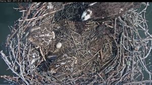 192.168.1.91_01_20150701221031881