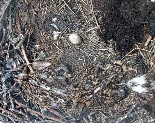 192.168.1.91_01_20150701221305488