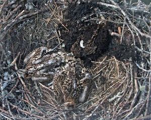 192.168.1.91_01_20150701221440663