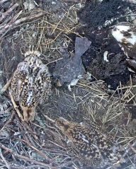 192.168.1.91_01_20150701221643221