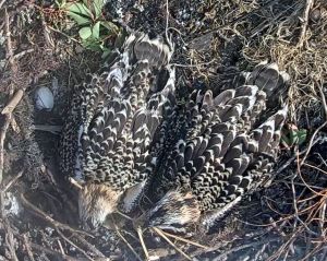 192.168.1.91_01_20150715232608426