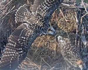 192.168.1.91_01_20150722185111502