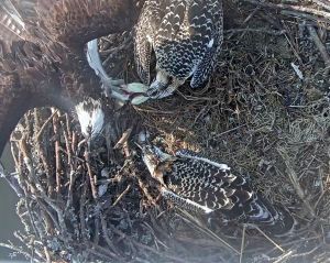 192.168.1.91_01_20150722185426195