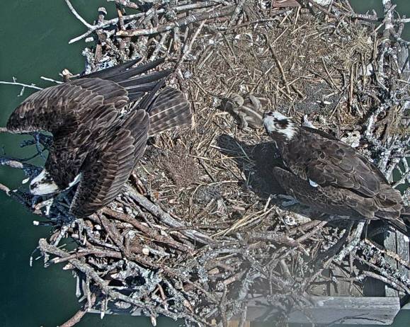 Flying out May 28.jpg