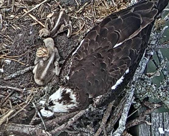 Moving around May 28.jpg