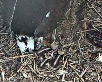 Parents and Three.jpg