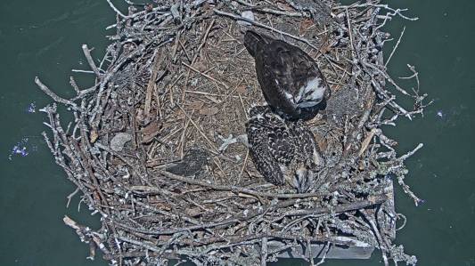 JC and Harriett June 29.jpg