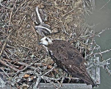 RainyDay2  June 8.jpg