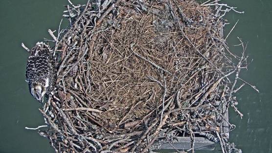 OnTheEdge July 12.jpg