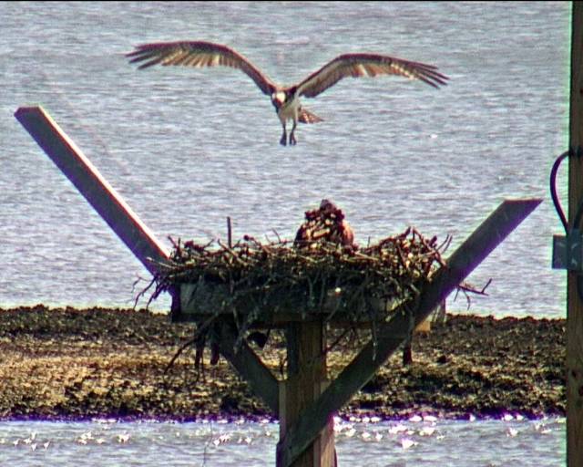 JC Landing July 14.jpg