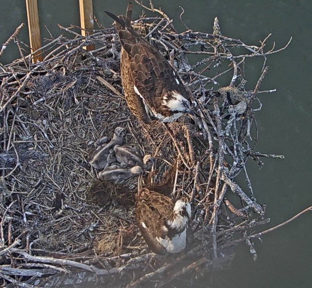 Family time 05 24 19.jpg