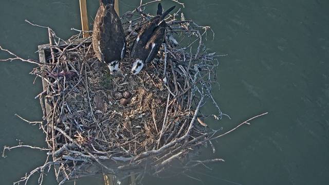 Waiting 05 11 19.jpg