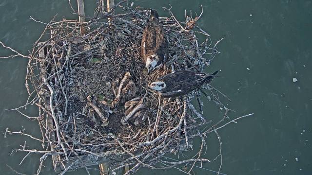 Family Portrait 06 02 19.jpeg