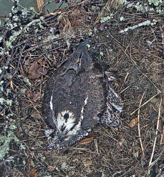 Keep Us Dry2 06 09 19.jpeg