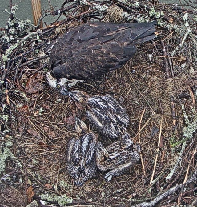 Rain is Over 06 09 19.jpeg