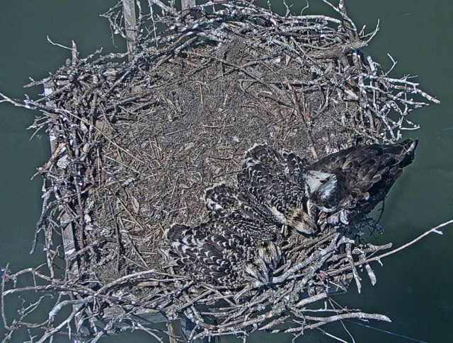 Southeast 06 24 19.jpeg